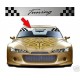 Adesivi FASCIA PARASOLE per auto tuning Mod.TUNING