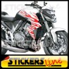 adesivi moto Fiamme adesive per moto 1 flame stickers