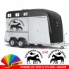 2 Adesivi TRASPORTO CAVALLI per rimorchio adesivo cavallo per carrello traino M1