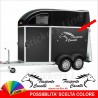 2 Adesivi TRASPORTO CAVALLI rimorchio adesivo cavallo carrello traino M4 90 x 40