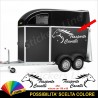 2 Adesivi TRASPORTO CAVALLI rimorchio adesivo cavallo carrello traino M4 130x60
