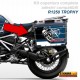 Adesivi compatibili valigie BMW R1250 GS Adventure TROPHY 2022 bags stickers M.2